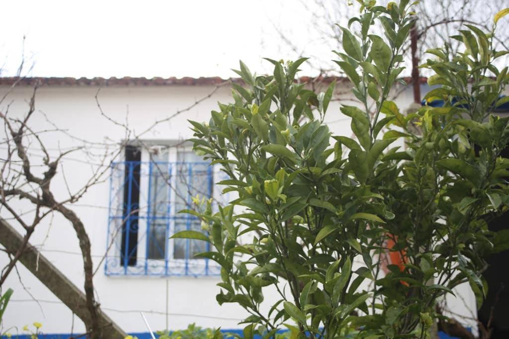 Sintra Nomad Lodge Eksteriør bilde