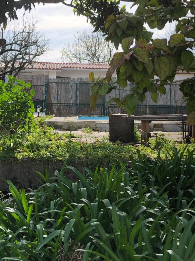 Sintra Nomad Lodge Eksteriør bilde